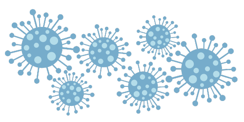 mold spores